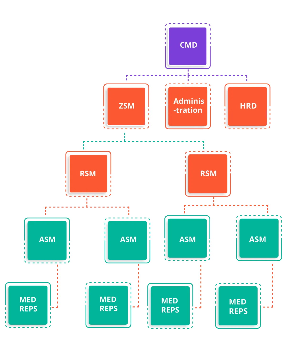 Medi-chem Pharma organizational chart