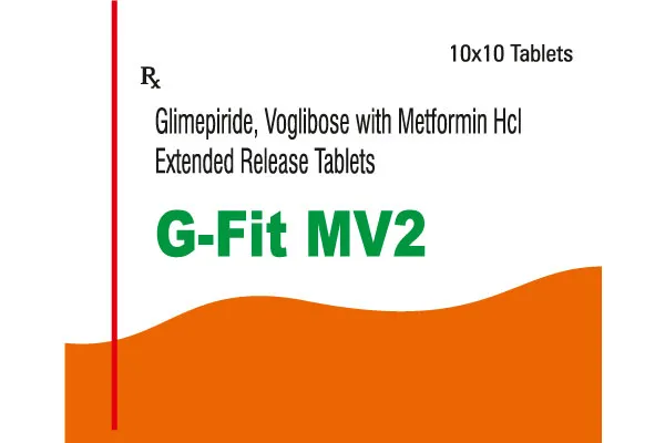 G-FIT MV2