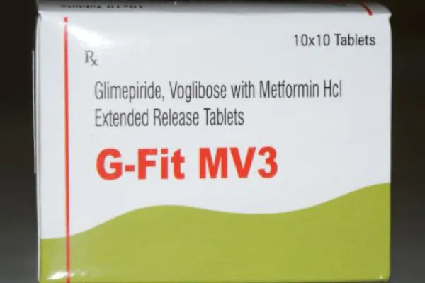 G-FIT MV3